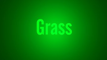 Grass